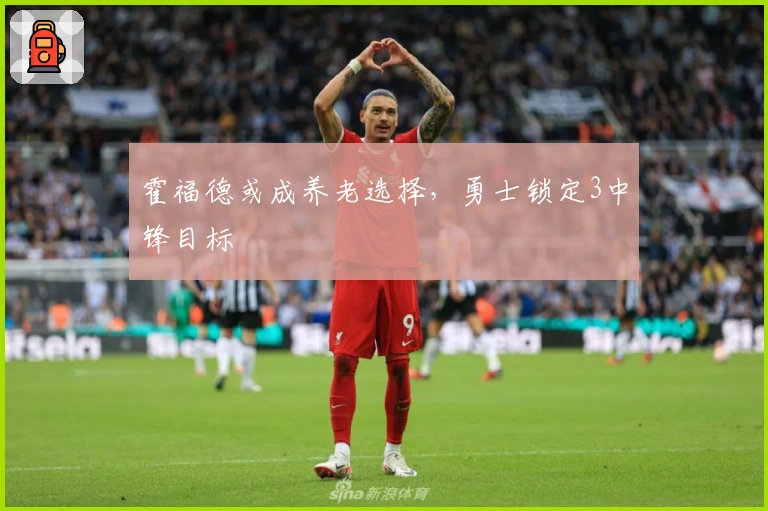 霍福德或成养老选择，勇士锁定3中锋目标