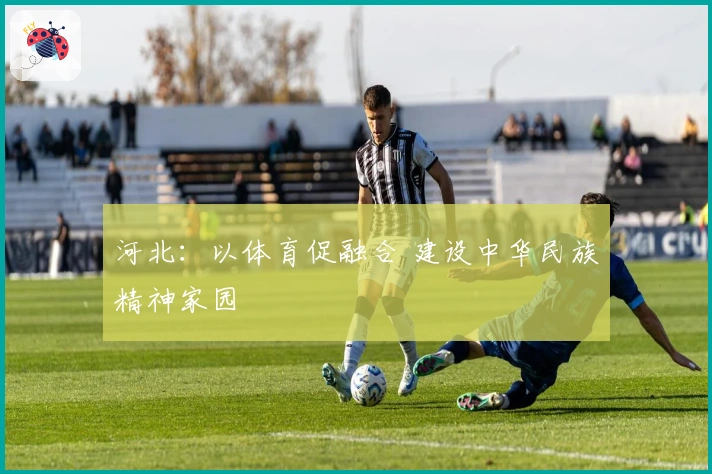 河北：以体育促融合 建设中华民族精神家园