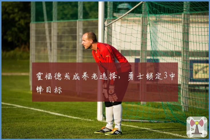 霍福德或成养老选择，勇士锁定3中锋目标